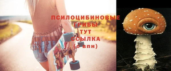 a pvp Пересвет