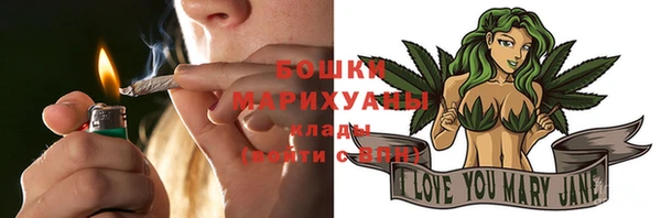 крисы Пестово