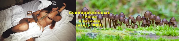 каннабис Переславль-Залесский
