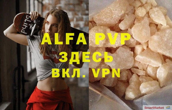 хмурый Нестеровская
