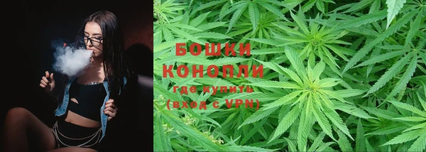 индика Осинники