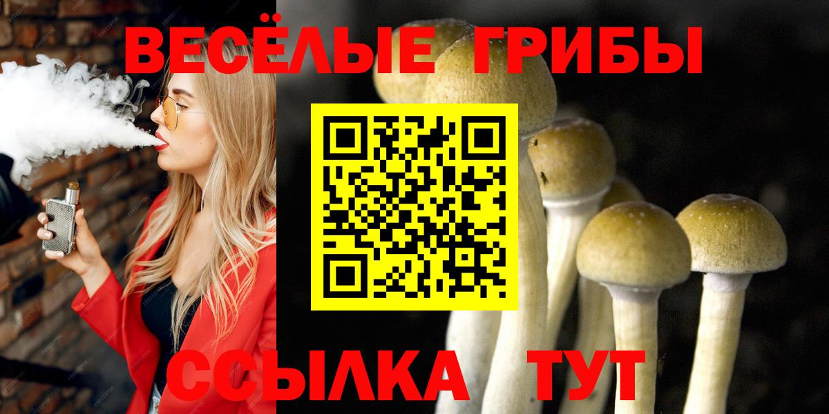 Псилоцибиновые грибы MAGIC MUSHROOMS Алапаевск